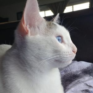 Meet your Posher, Dulce m